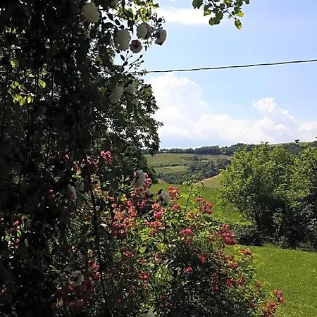 Bed & Breakfast I Canonici 3*